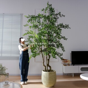 �Gֲ���X���Ř�������ֲ���҃ȿ͏d�Շ��м٘��쾰�b�