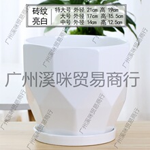 ��ƿ�մɷN�������ֵ��ƿ�߼��л�Ƥ�m���X����軨��ح�߿�