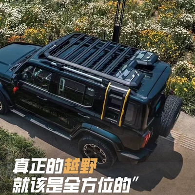 Platform Luggage Frame Side — Roof rack