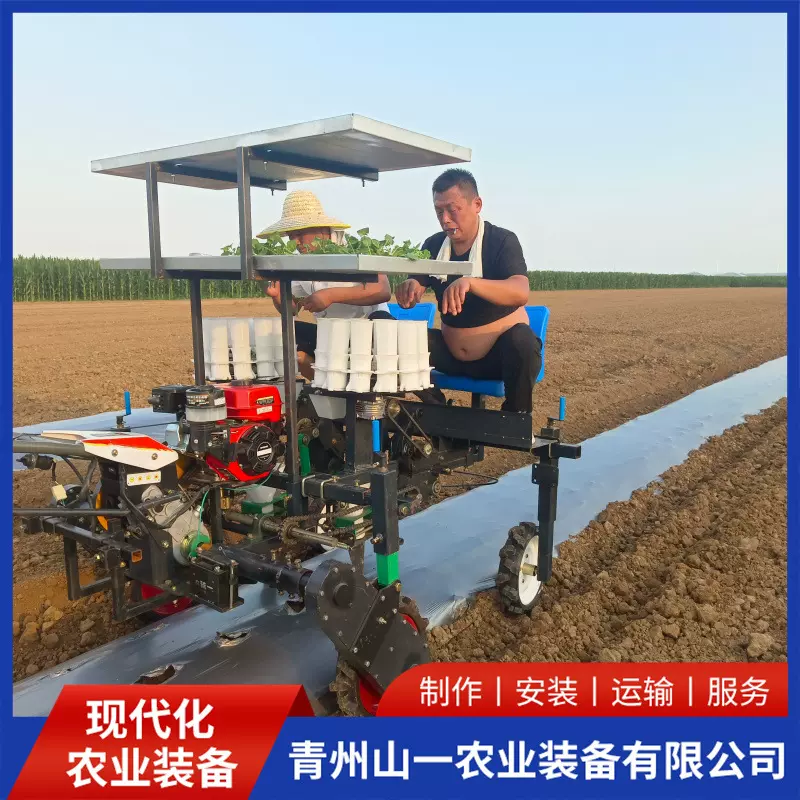 自走式移栽机厂家 自走式秧苗种植机行走灵活旱地农作物栽苗机