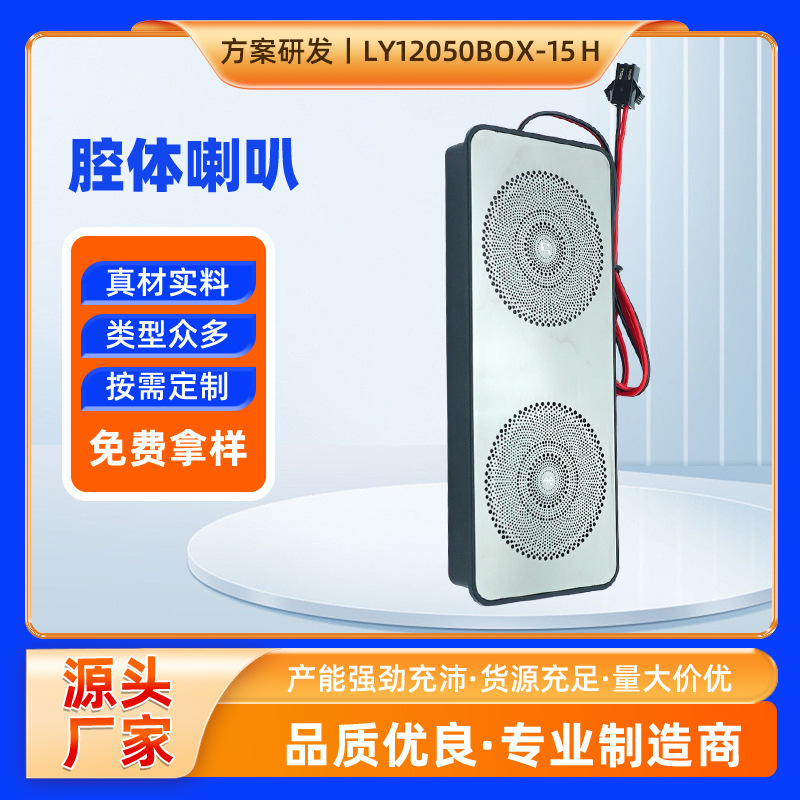 Ultra thin smart megaphone