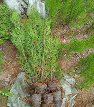 һlɰؘ؂Ȱ؈Aرļ๫Ĺ·@־G