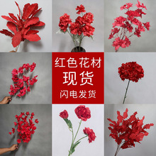 ���滨�Ƽtɫĵ��õ�彑��ٻ��ٺ�������С���Ȼ�����~���컨