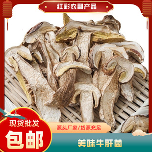 ţ�ξ���ζ��偰������{�������������l�Ҝ�������خa