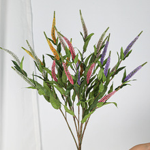 �����֧5�^��β�ݻ�c�������z�ٻ���ɫ�������K����@ins����