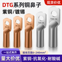 DTG管压鼻铜线鼻子国标紫铜镀锡线耳电线电缆终端铜接头接线端子