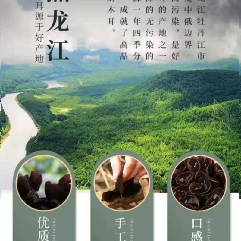 東北黒きくらげ 乾物 特級 500g 公式旗艦店 秋きくらげ 乾燥野生小鉢耳 業務用ネズミ耳|undefined