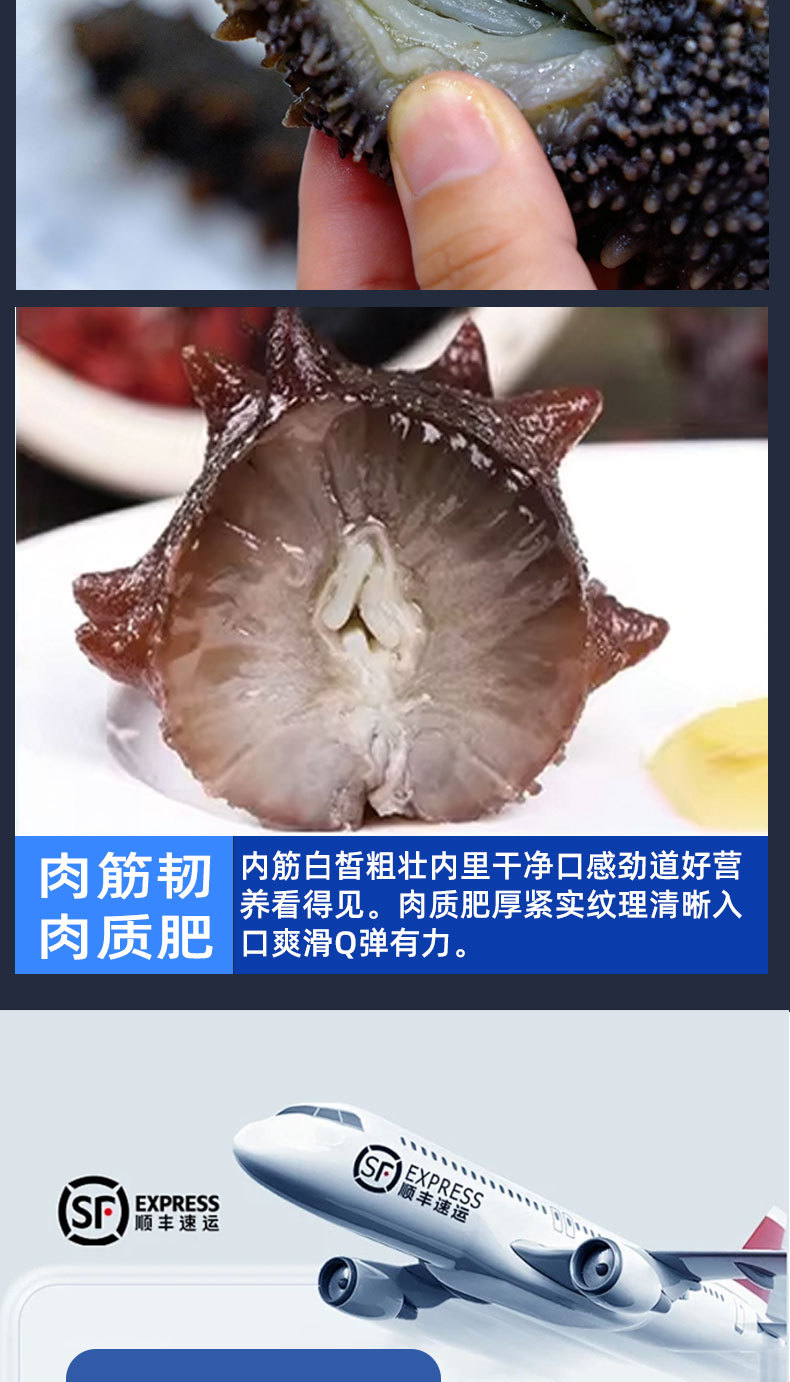 Dalian Lightly Dried Sea Cucumber 8 Year Liaoning Dried Sea Cucumber 50g Gift Box quality and texture