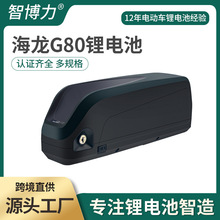 �羳36V20AH늄�܇�늳�48V����G80 plus���bɽ������܇�늳�