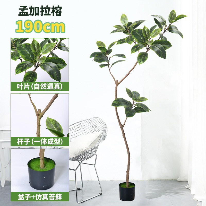 仿真孟加拉榕大型绿植物室内客厅盆栽黄金榕高山榕树落地摆件|undefined