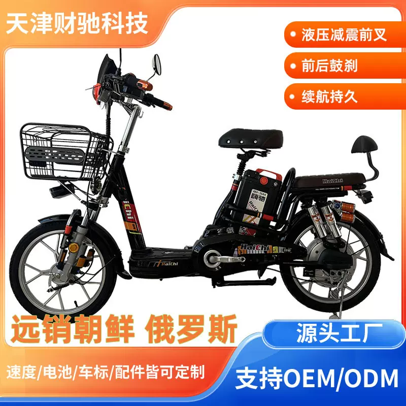 出口直销工厂18寸 电动车 电动自行车 电瓶车 朝鲜
