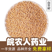 �S�׽���500g�׽��ѽ����������������ș����ș�Ĵ�ȫ���l���l