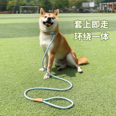 犬のロープ防爆冲pチェーンは犬の牽引ロープを散歩して犬のチェーンの中の大型犬のペットの首輪の犬のロープを抜け出すことを防ぎます。