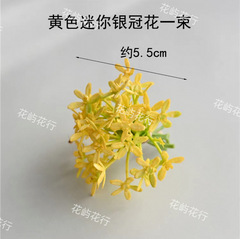 永生花diy材料包仿真银冠花仿真植绒植毛雪球花团建活动装饰摆件