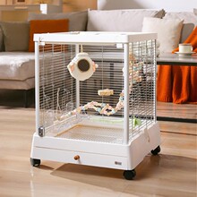 �_���^�B�\B5001SS�F�z䓻������¿�ȫ�������B�\�ӄe��������