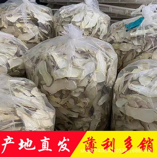 ���U���a��ֱ�N���l��Ƭ���x���Ƭ���������Ƭ��؛СƬ���خa