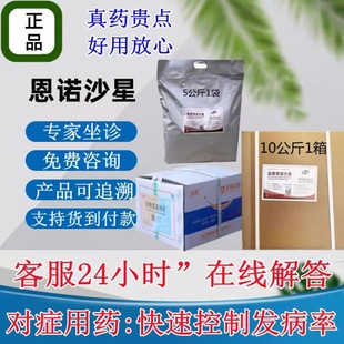 �F�Ç����}����Zɳ���i�u����ţș��șˮ�aţ��ș������ӄ����l