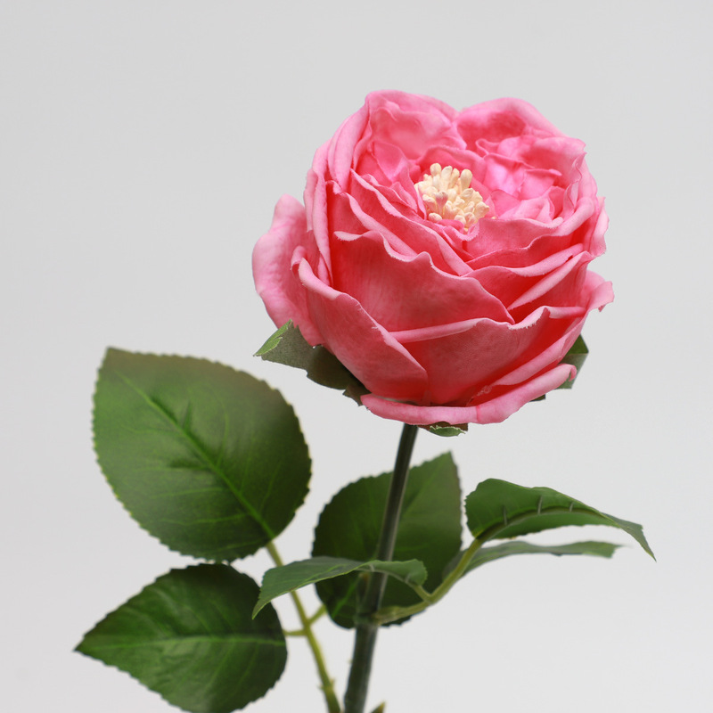 Artificial Austin Rose with Realistic Texture and Moisturizing Effect, Nordic Style Home Living Room Decoration Fake Flower Arrangement