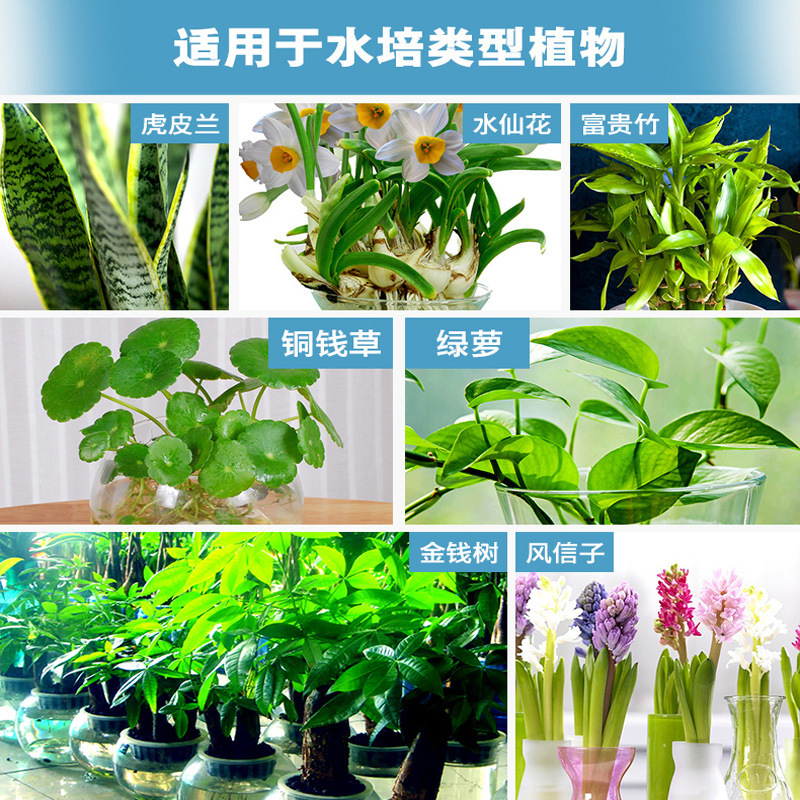 成長魔激励栄養液水培専用型肥料水培植物花卉富貴竹緑羅濃縮液体肥料|undefined