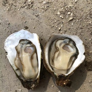 տ����ɽ�����ش�ĵϠˮ�a�r�����ك��V�|�������뚤100��һ��