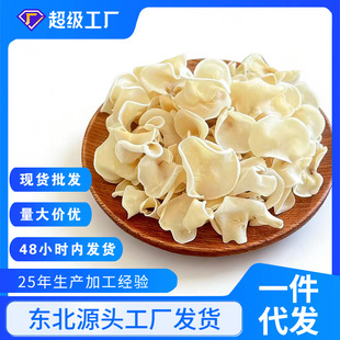 �|���L��ɽ��ľ������ľ��С���Сľ����؛���l ����ľ��