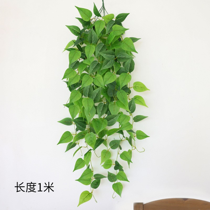 8 fourchettes de plantes araignées collées et 1 bouquet de pothos de couleur unie