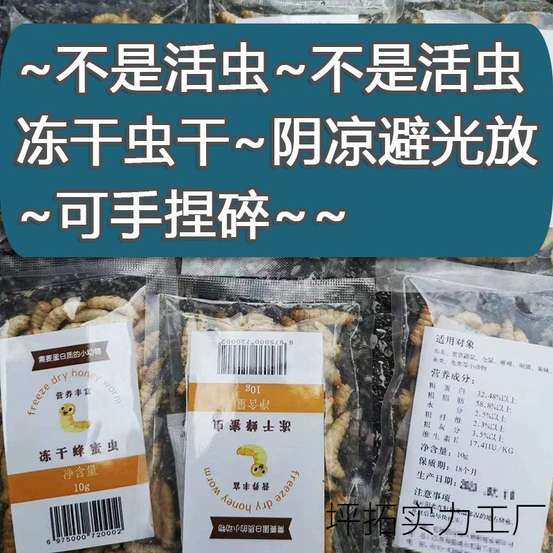 运输保存蜜袋鼬凉玉米干干久虫不怕仓鼠避光冻干坏蜜虫葡萄|undefined