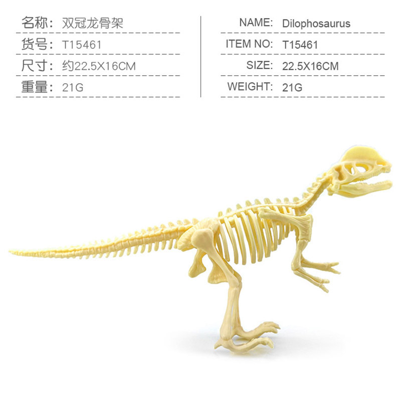 Transfronterizos de venta caliente simulación sólida modelo de cráneo de dinosaurio estático T. rex Velociraptor esqueleto arqueológico juguetes para niños