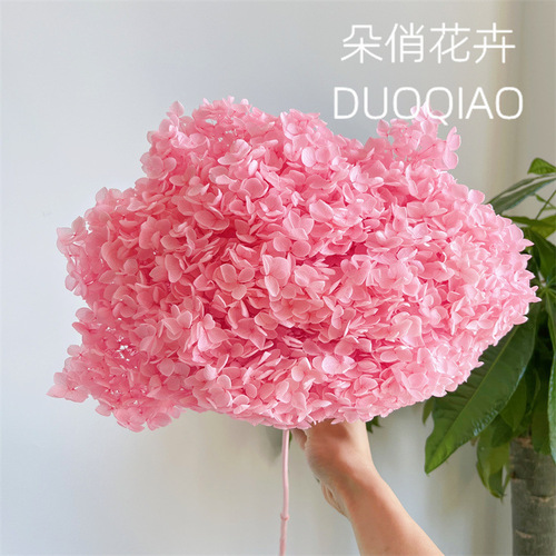 Perennial Flowers Anna Hydrangea Dried Flower Wholesale Bouquets Home Decor Ornaments Cafe Bar Table Centerpieces