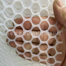工厂现货供应 塑料养殖网 圆孔塑料平网 养殖鸡鸭平网