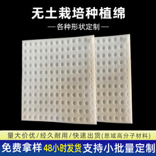 �߲˷Nֲ�������d �ڿ�����Nֲ�� �o������N���������d