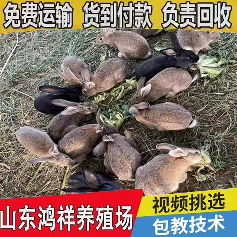 u=380901730,1298112908&