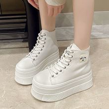 С8cmɸЬŮ¿͸ߎe\ӆЬ