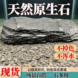 天然片岩石原生态溪流片岩造景水陆缸鱼宠虾龟晒台养鱼缸古法沉木