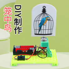 늄ӻ\���B DIY���ƿƼ��ƌWС����ҕ�Xͣ��W���ƌW����������