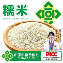 【扶贫产品】糯米500g无杂质粽子汤圆糕点原料真空锁鲜扶贫助农