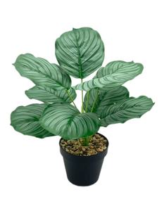 ��Ʒ�羳����Gֲ���O������ֲ�������辰�Ҿ��b��҃�����[��