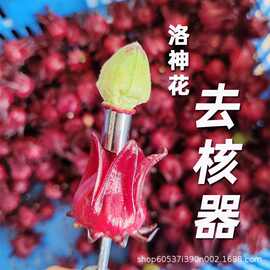 洛神花去核器鲜花去核神器大枣取核器红桃果K花除核工具
