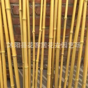 ��Ȼ���Ӽtɫ��U��ɫ��͇�����ͻ�c������������Ͱ�b���U