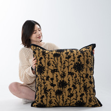 2026年新款法式轻奢复古沙发抱枕高级感客厅靠垫民宿卧室床头软包