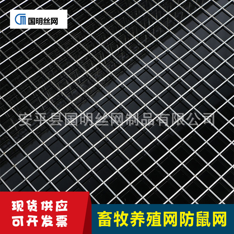 厂家直供 304不锈钢电焊网 防虫鸟电焊网 不锈钢围栏网
