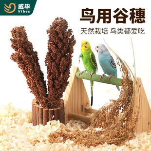 �����W�^������ʳ�Bʳ�S����С�׼t�������P��Ƥĵ��Ӗ�������Ʒ