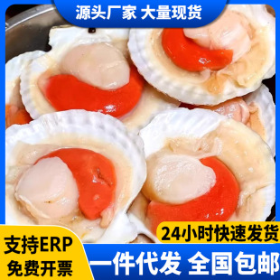 ���r�������ؐ��������ؐ���r�F���r��Ԫؐ���r�r��ˮ�a�������l