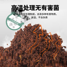 Ҭ�u�I�B��Ҭ��Ҭ���B���N�˷���Ҭ���u������Ҭ��������|������