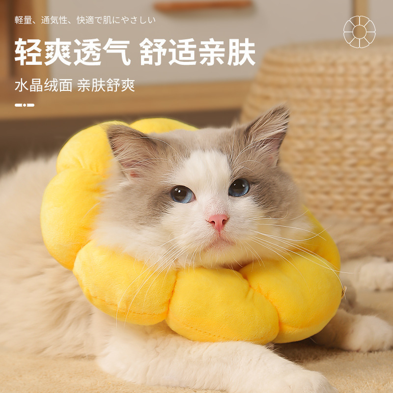 太阳花宠物伊丽莎白圈猫咪绝育项圈防舔防咬猫咪头套脖套宠物项圈|undefined