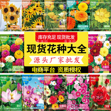 lļܷNӴȫ̫ꖻ˹վջ¼޹²f۾ջ