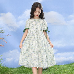 Little Girl Floral Print Dress 2024 Summer New Korean Style Medium to Large Child Long Dress Children Bubblesleeve Princess Dress