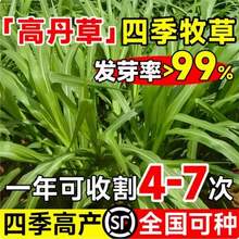 �~�ݷN���ļ��K���ݷN�Ѹ߮a���ݷN�Ӹߵ����ݲ��Nι�u����ţ�Z��