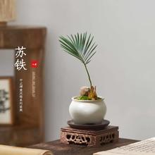 KFԑСGֲk҃辰FҕUͺB