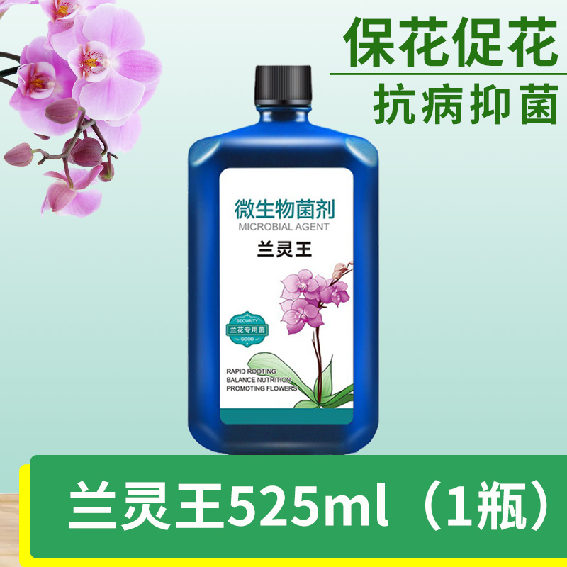 난초과 특수 박테리아 525ml [추천 담합]]